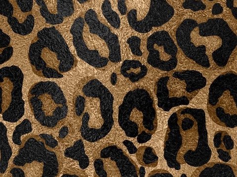 money leopard print