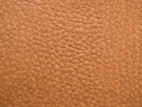 Coarse-grain leather