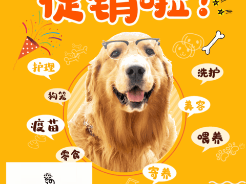 Pet shop pet hospital cute pet poster