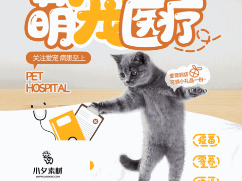 Pet shop pet hospital cute pet poster