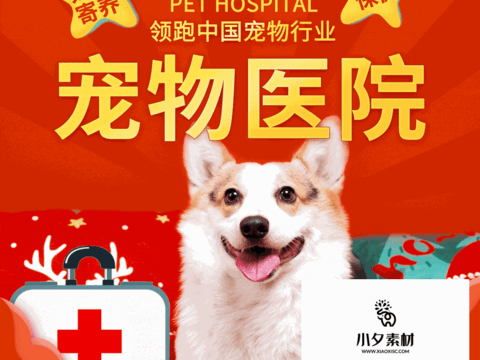 Pet shop pet hospital cute pet poster