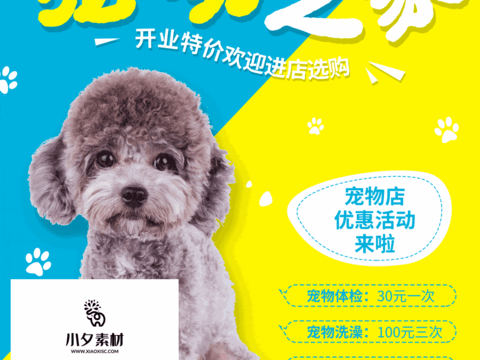 Pet shop pet hospital cute pet poster