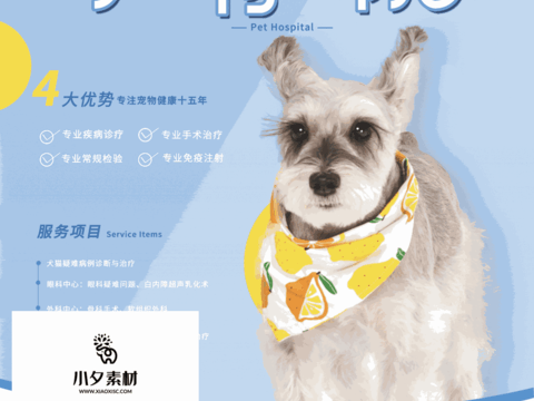 Pet shop pet hospital cute pet poster