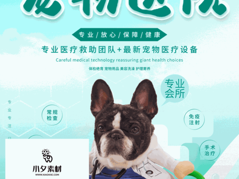 Pet shop pet hospital cute pet poster