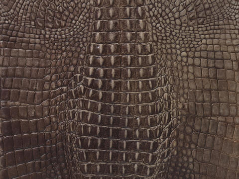 Alligator skin texture