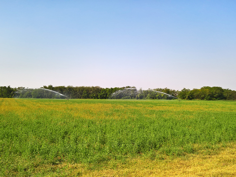 Rural landscape landscape