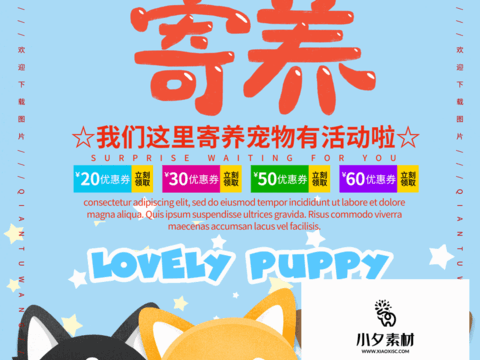 Pet shop pet hospital cute pet poster