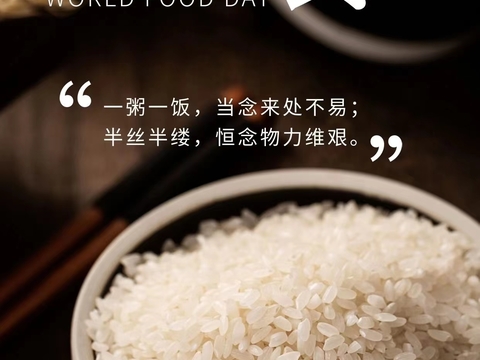 Rice Food Poster