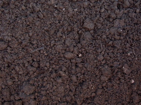 Soil