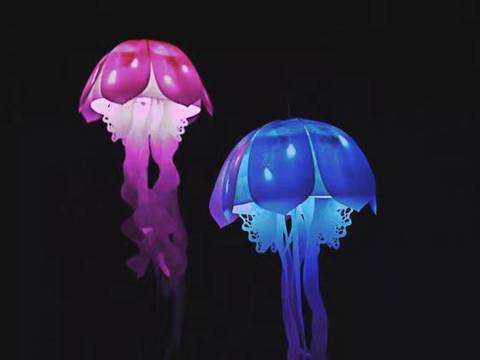 Jellyfish