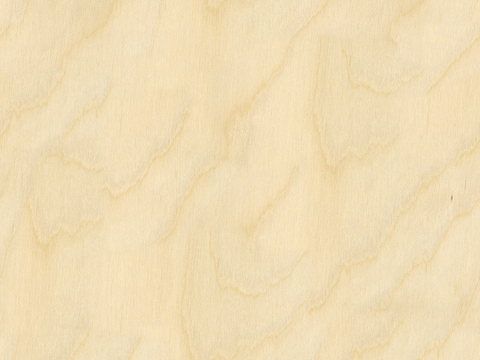 Seamless Light Color Log Plywood Wood veneer Poodles Particleboard Pine Board