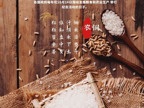 Rice Food Poster