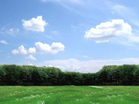 outdoor sky grass