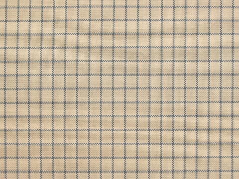 Modern Check Fabric