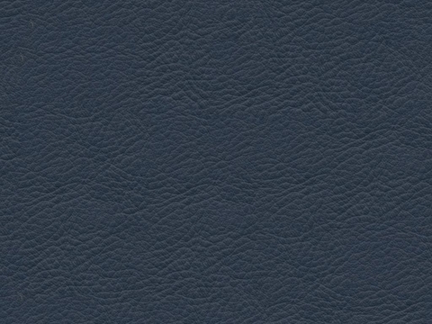 Blue textured leather