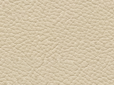 Beige textured leather