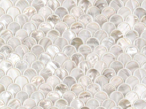 Shell Mosaic