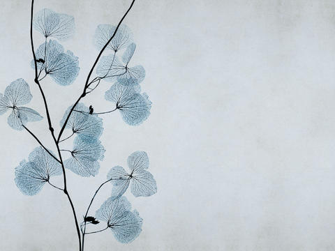 Blue Flower Wallpaper