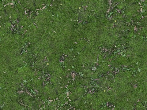 Seamless moss grass