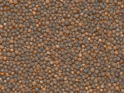 Seamless Old Bean Tile