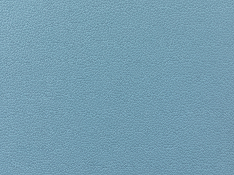 blue fine grain leather