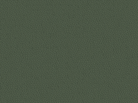 Green fine grain leather