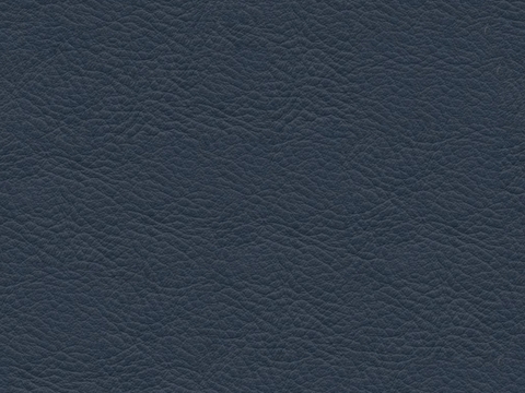 blue fine grain leather