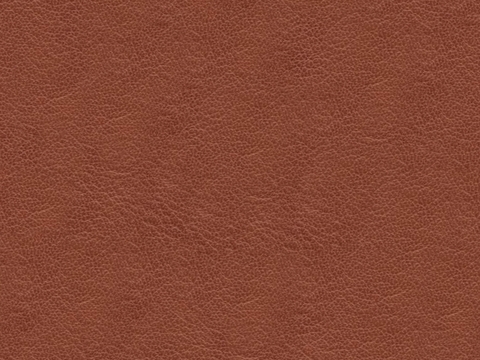 Orange fine-grain leather