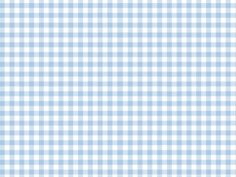 light blue Check Geometric Fabric