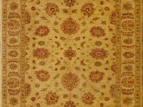 European carpet