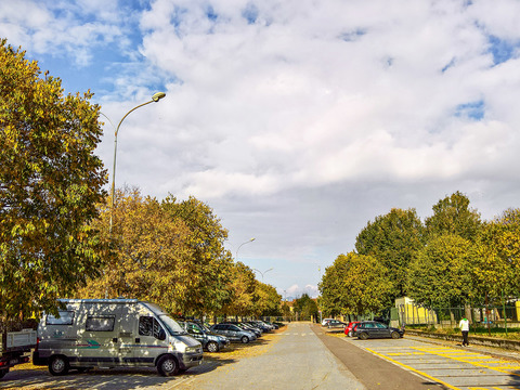 Autumn trees street pavement scenery