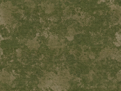 lawn turf ground grass