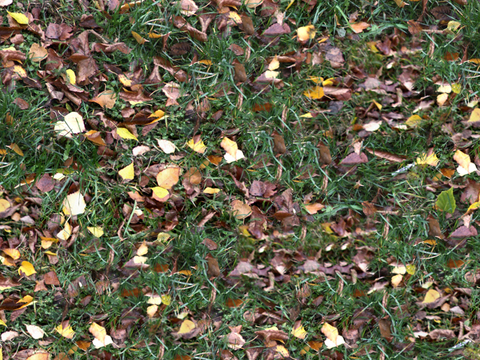 Seamless litter turf lawn ground