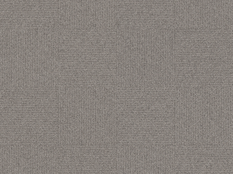 light gray carpet