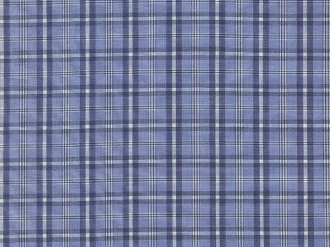 blue plaid