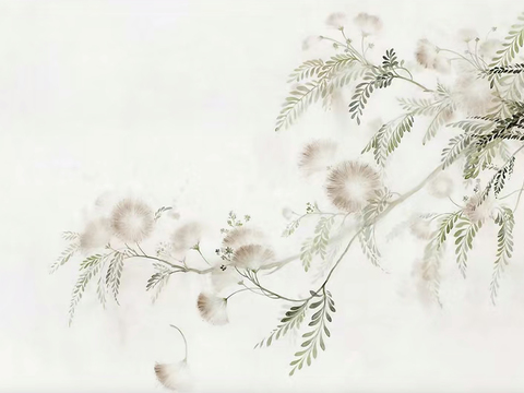 acacia plant wallpaper mural