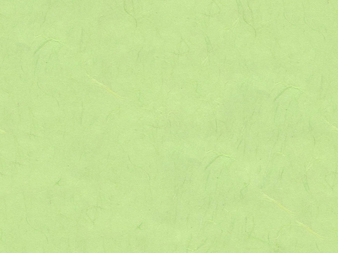 Seamless gold and silver silk pattern light green cover paper leather paper cardboard wallpaper