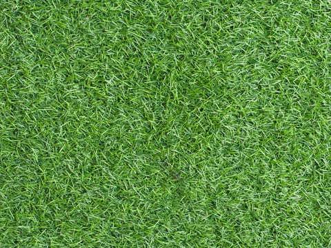 Grass Lawn HD