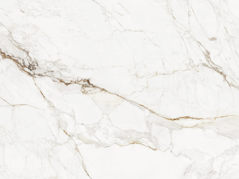 HBI fish maw gold rock plate white marble