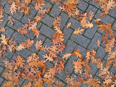 Seamless Herringbone Pattern Spliced Cement Floor Tile Sidewalk Road Ground Square Paving