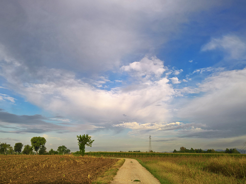 Rural landscape landscape