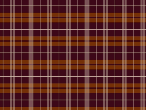 Modern Check Fabric