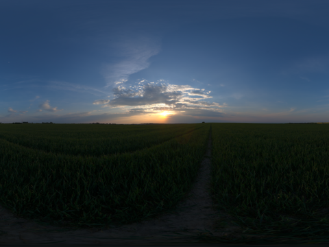 Seamless outdoor blue sky grassland lawn field HDR panorama