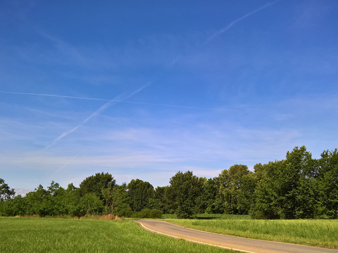 Rural landscape landscape