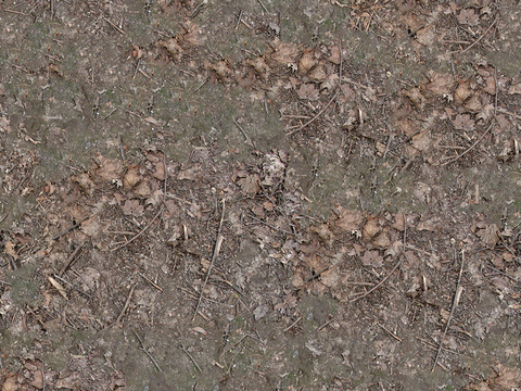 Seamless leaves, litter, soil, sandy ground