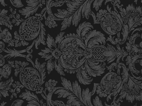 Black Pattern Fabric