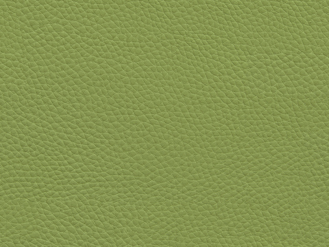 Seamless green matte textured leather