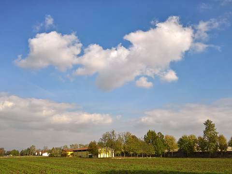 Rural landscape landscape