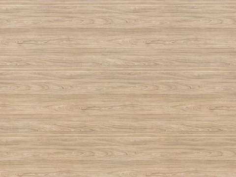 Fraxinus mandshurica wood grain