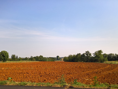 Rural landscape landscape